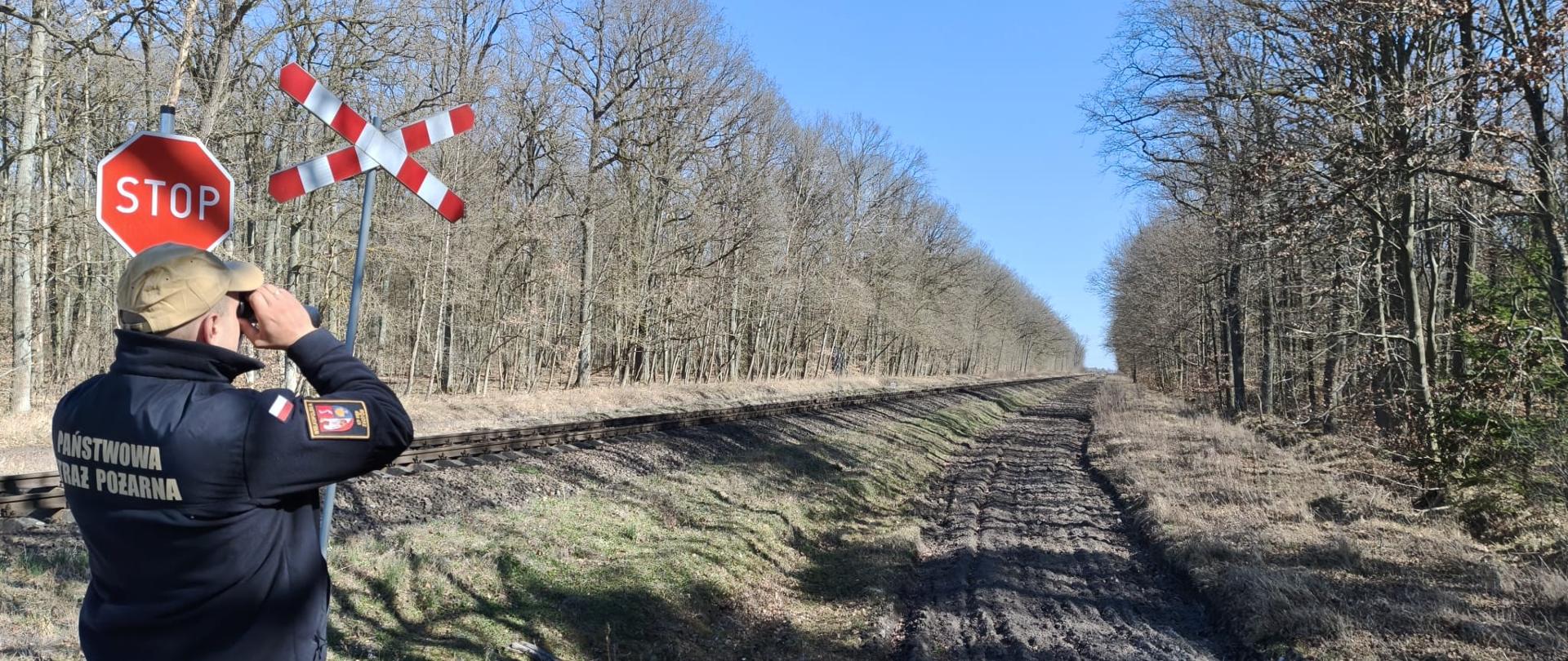Kontrole Państwowej Straży Pożarnej na obszarach leśnych 