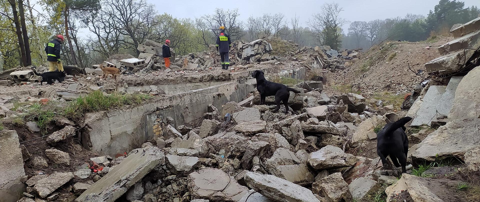 Ćwiczenia poligonowe Pstrąże 2022