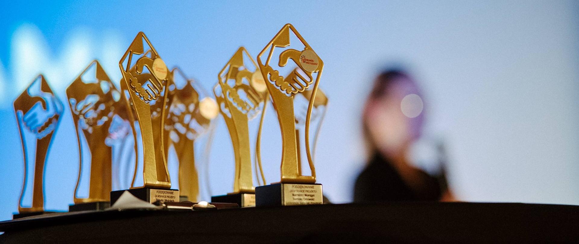 ZESPÓŁ SZKÓŁ CENTRUM KSZTAŁCENIA ROLNICZEGO W DOBROCINIE - KONFERENCJA