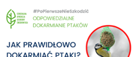 PoPierwszeNieSzkodzić – ptasie dokarmianie