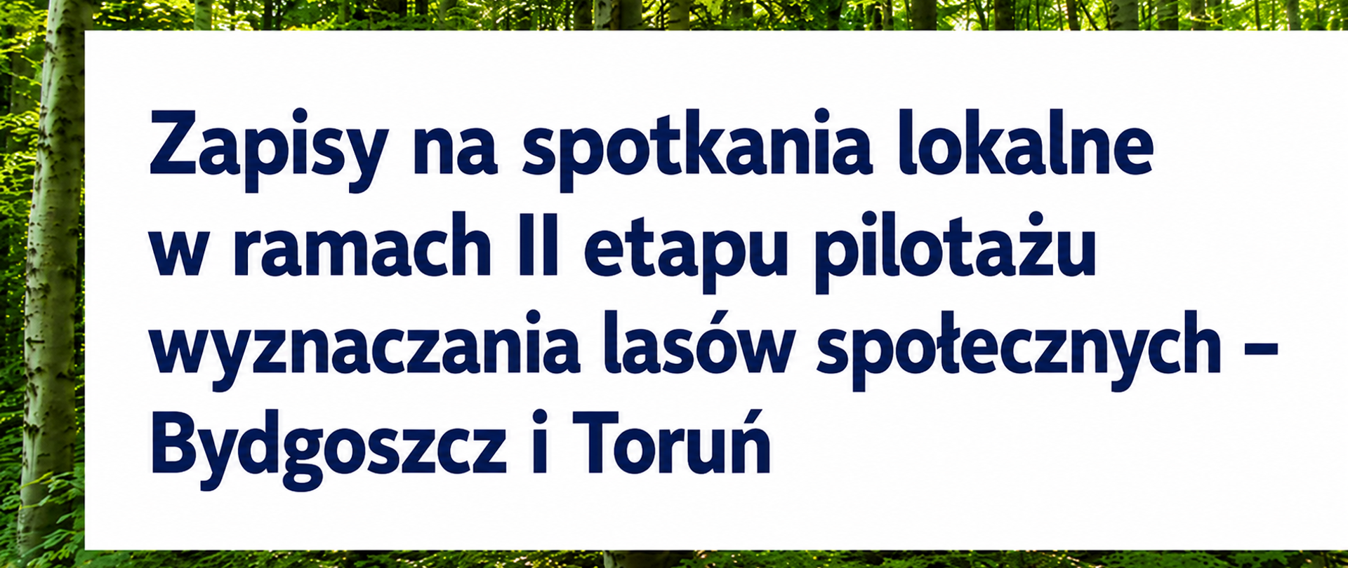 bydgotorunlowsfszapis