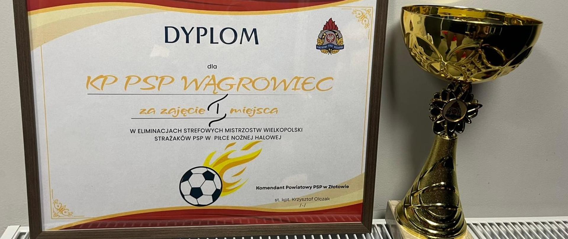 Na zdjęciu puchar oraz dyplom 