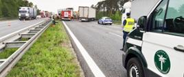 Inspektorzy śląskiej ITD na miejscu tragicznego zdarzenia. Na pierwszym planie inspekcyjny furgon i inspektor ITD. W centrum miejsce tragicznego zdarzenia - rozbite pojazdy i służby (straż pożarna i policja). Po lewej ruch pojazdów.