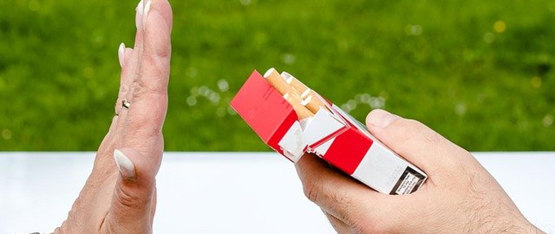 Konkurs palić nie palić