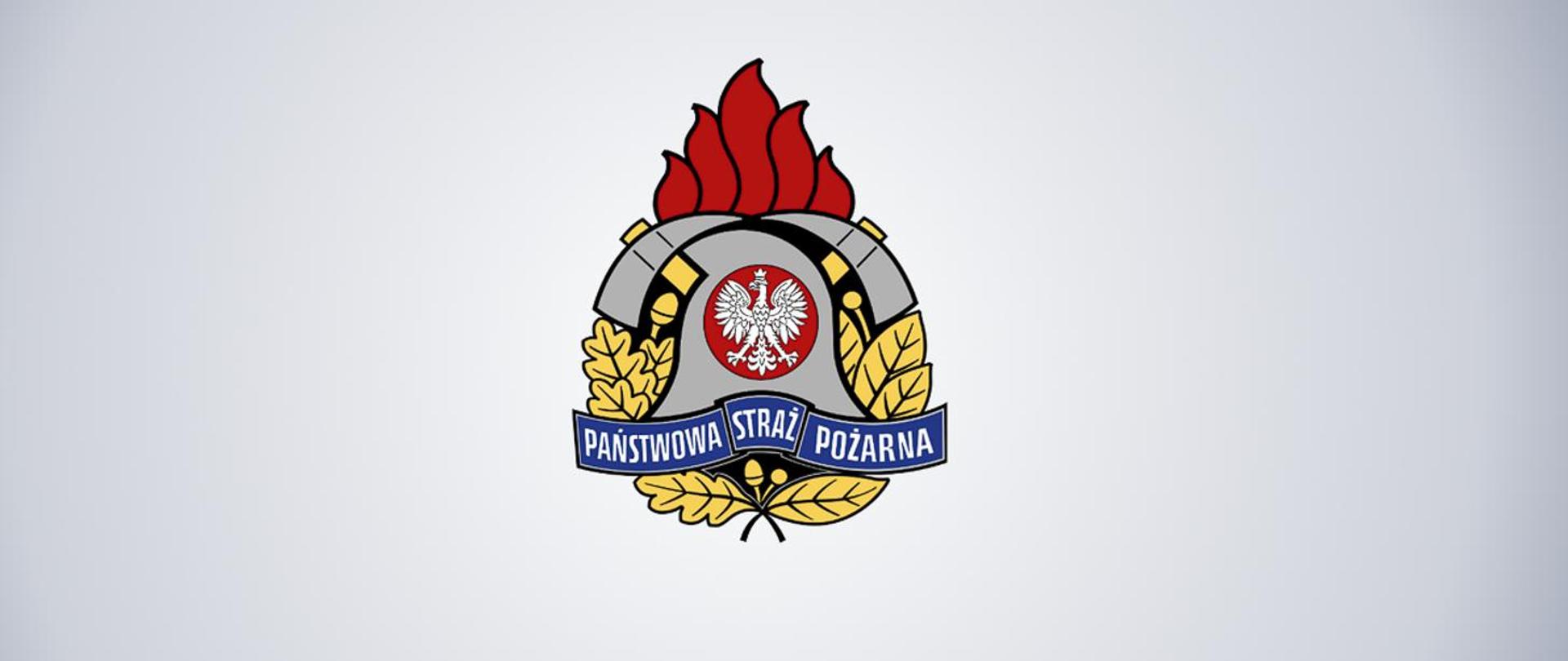 Logotyp PSP, w centrum znajduje się godło Państwa Polskiego – Orzeł Biały. Hełm strażacki, który okalają dwa toporki. Całość dopełnia złoty wieniec z liści oraz owoców dębu i wawrzynu.