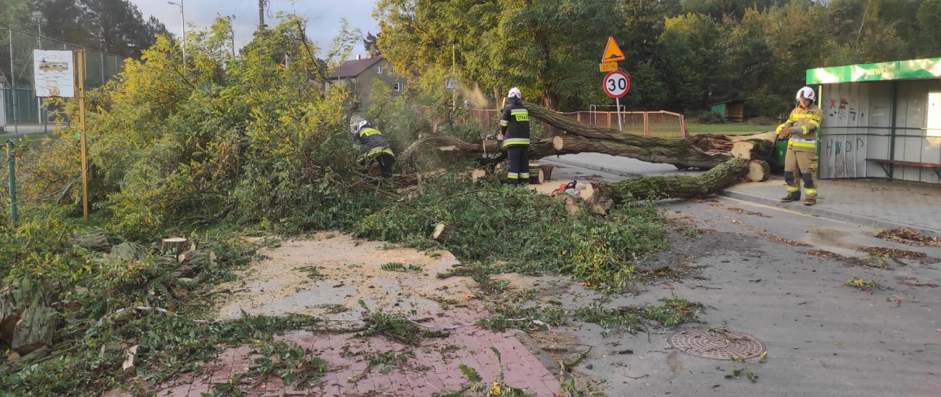 leżące drzewo na drodze. Strażacy w trakcie działań