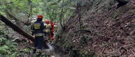 Akcja ratownicza - drwal ucierpiał w czasie wycinki drzewa