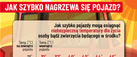 Jak się chronić przed upałem