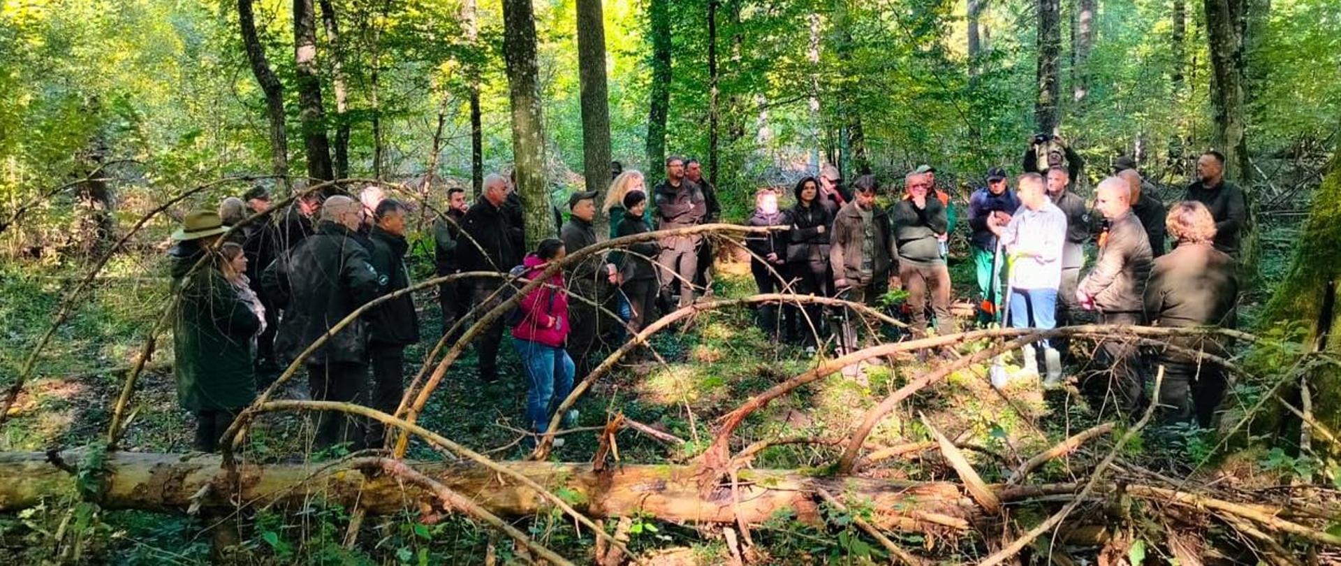 Dowiedzieliśmy się, co oznacza „ponur” i „poszur”