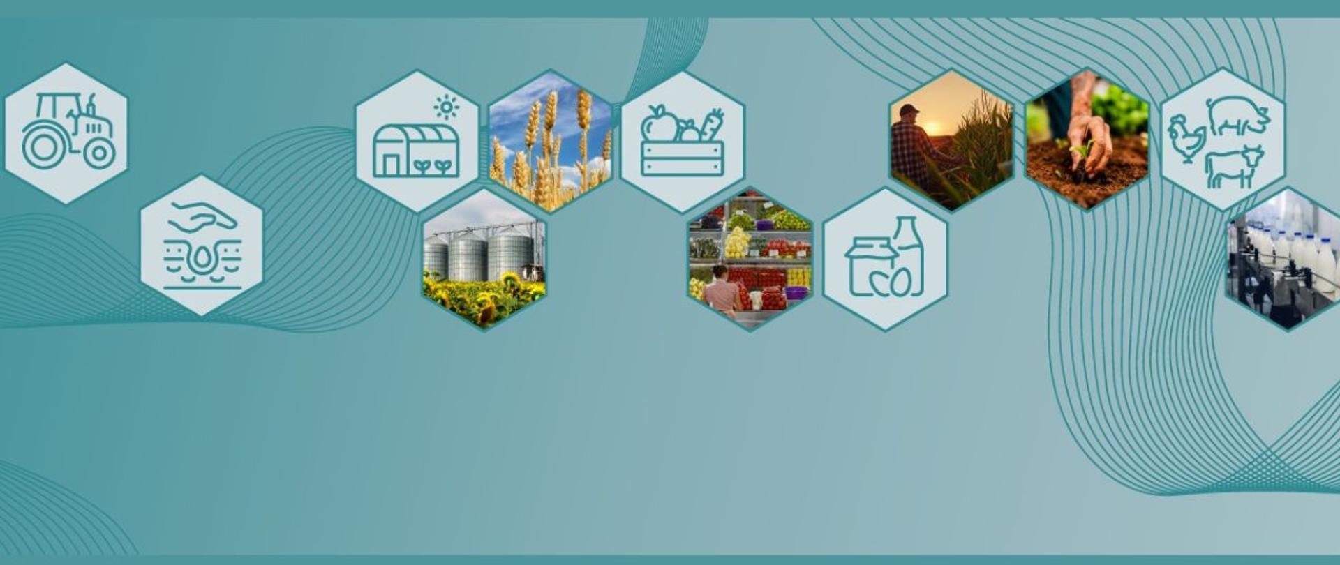 Infografika przedstawiająca łańcuch dostaw żywności i rolnictwo, złożona z ciągu sześciokątnych ikon oraz zdjęć na błękitnym tle z motywem fali. Grafiki obejmują m.in. traktor, szklarnię, silosy zbożowe, uprawę roli, handel detaliczny oraz linię produkcyjną mleka.