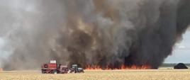 Na zdjęciu widać rozwinięty pożar zboża 