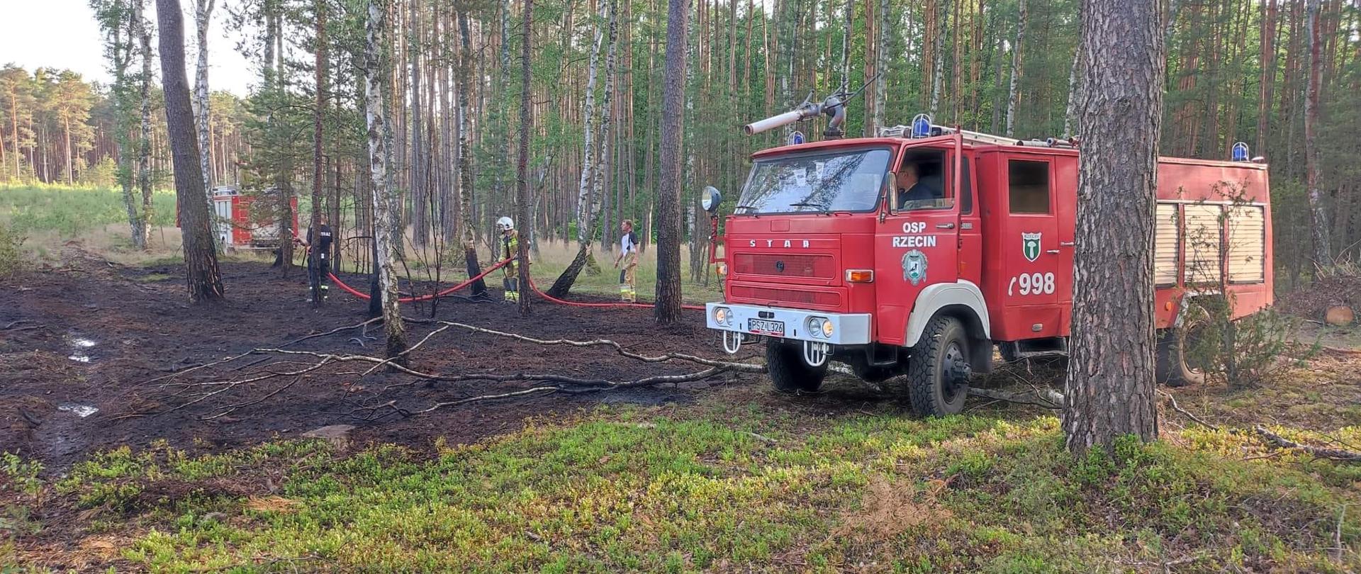 Widać strażaków podczas gaszenia pożaru, po prawej samochód strażacki