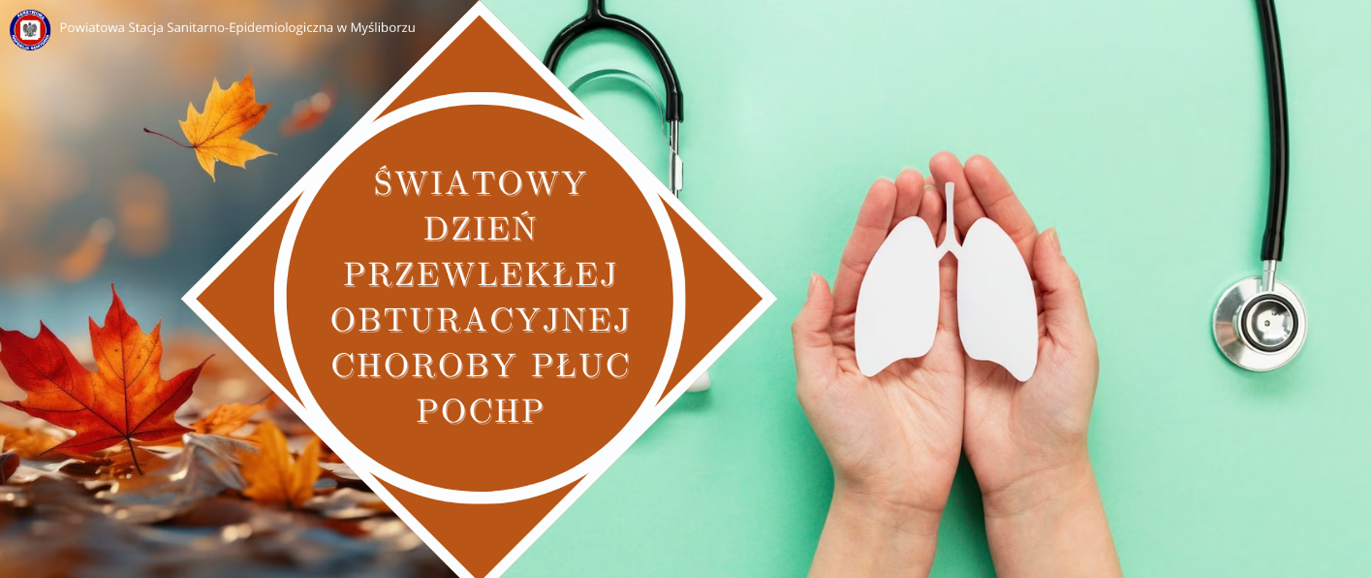 Baner Światowy Dzień Przewlekłej obturacyjnej choroby płuc POChP