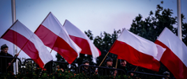 Harcerze stoją obok siebie i machają flagami Polski przed nimi znajdują się barierki oraz rosną krzewy.