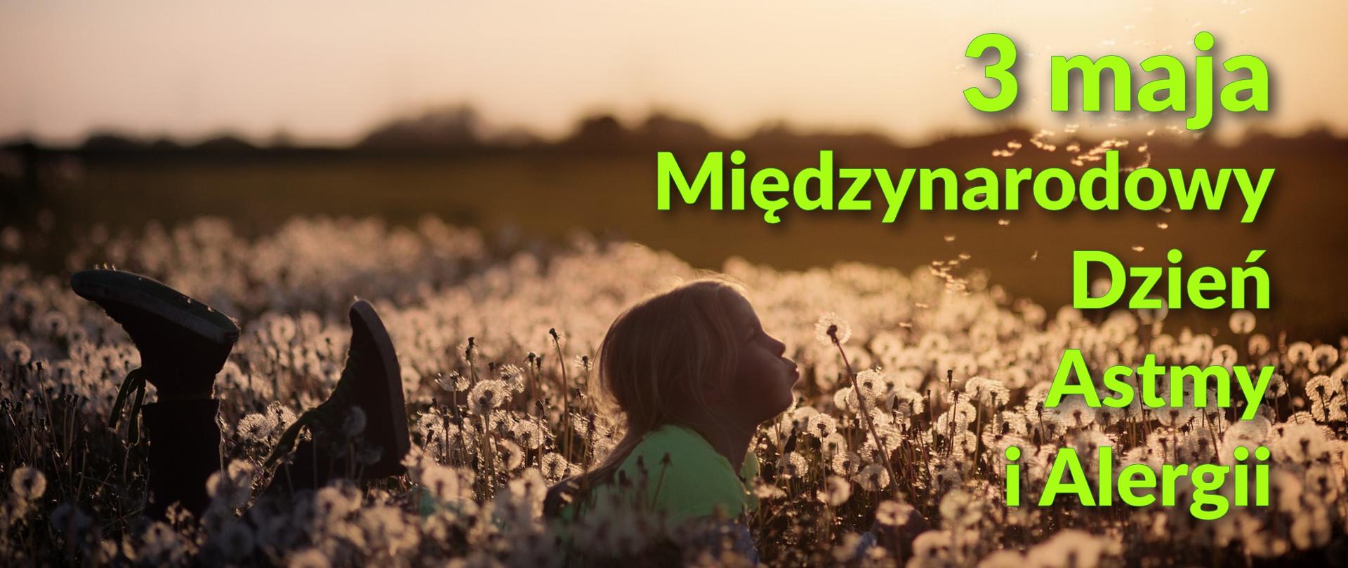 Międzynarodowy Dzień Astmy i Alergii (jplenio - pixabay.com)