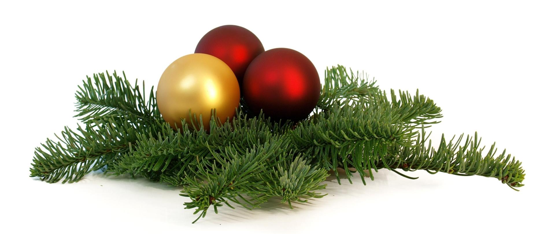 Zdjęcie przedstawia gałązkę świerkową przystrojoną bąbkami