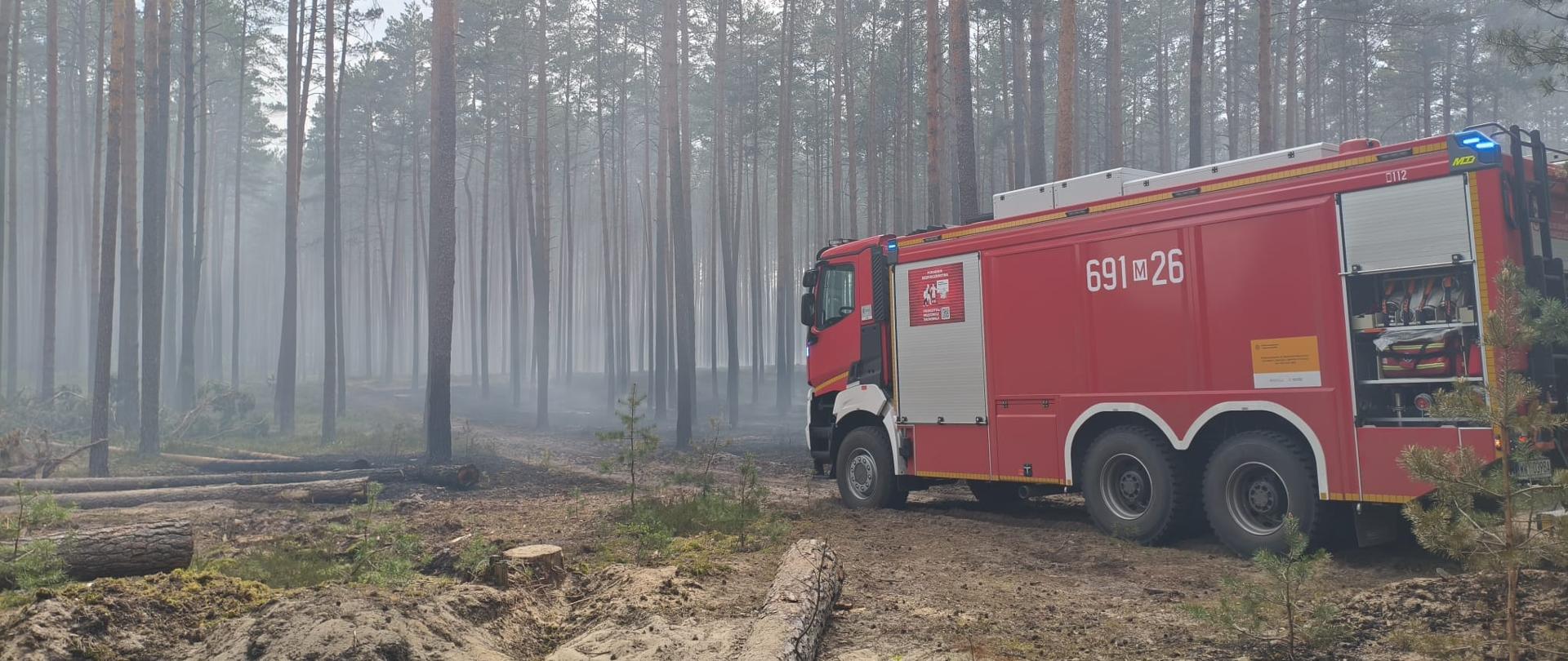 Pojazd pożarniczy stoi w lesie na tle pogorzeliska pożaru lasu. Między nadpalonymi drzewami unosi się rzadki dym.