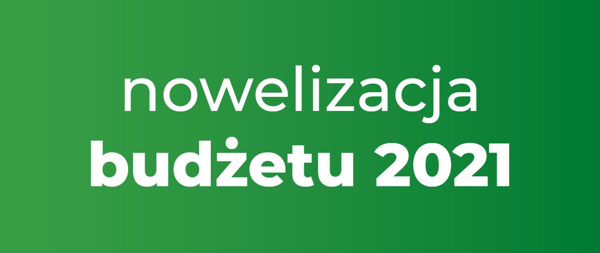 Napis na zielonym tle Nowelizacja budżetu 2021.