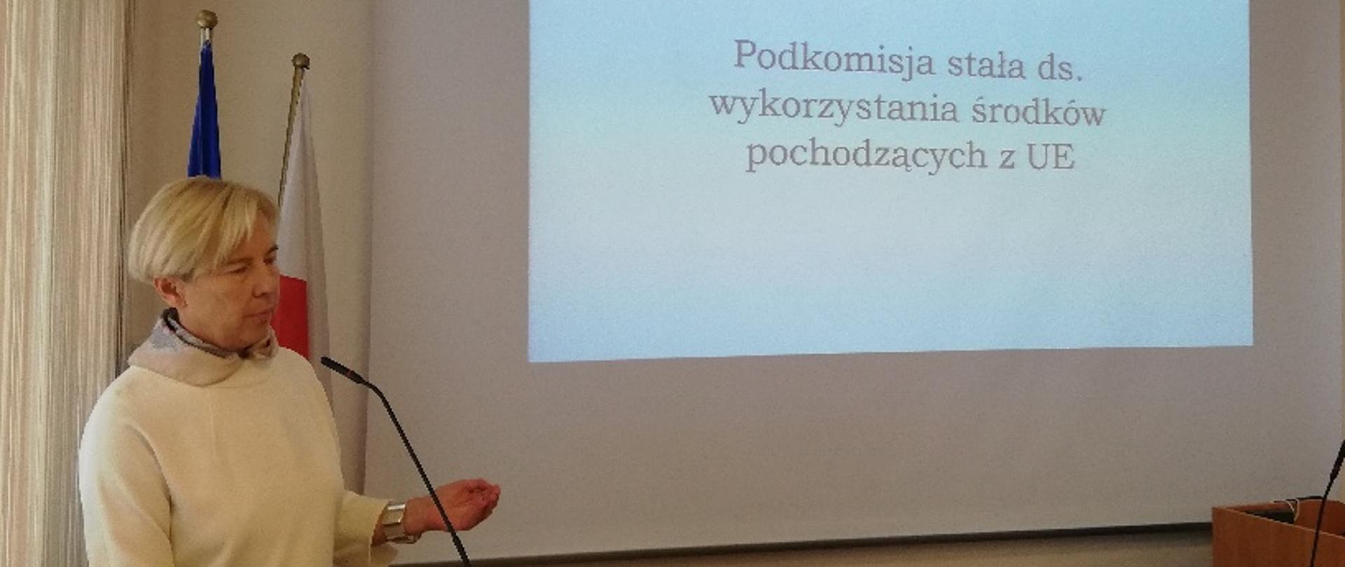 Minister Zielińska stoi przy mównicy, na ścianie za nią wyświetlany jest napis "Podkomisja stała ds. wykorzystania środków pochodzących z UE 