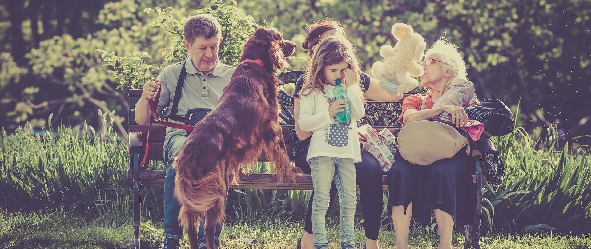 Na zdjęciu rodzina wielopokoleniowa. Od lewej na ławce siedzi: starszy mężczyzna, kobieta w średnim wieku, starsza pani. Przed nimi stoi mała dziewczynka, pijąca wodę z butelki oraz pies rasy seter, który wspina się łapami na ławkę. W tle zieleń parku miejskiego.