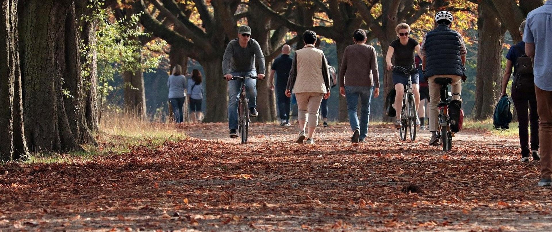 Ludzie idący oraz jadący na rowerach w parku wśród jesiennych liści