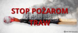Ilustracja przedstawia napis stop pożarom traw, a w tle fragment spalonego lasu
