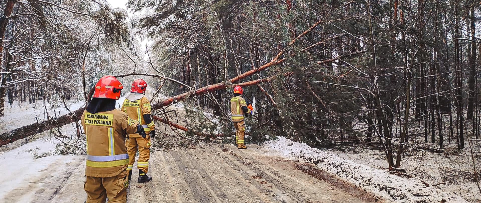 Strażacy wycinają drzewo, które pochyliło się nad drogą. Zdjęcie wykonane w porze zimowej