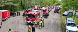 Zastępy wozów strażackich w punkcie koncentracji sił i środków