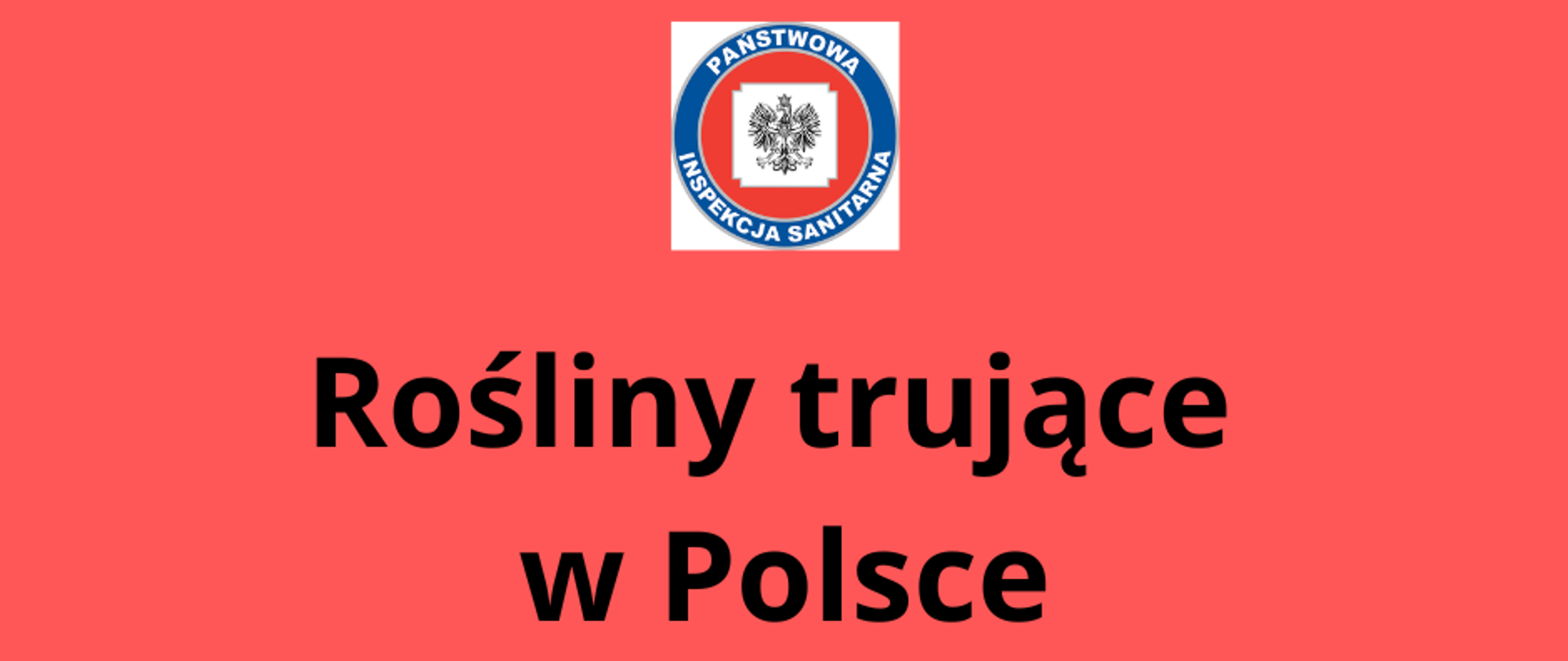 Rośliny trujące w Polsce