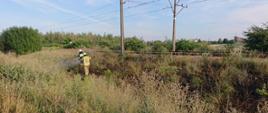 Na zdjęciu widać trawę na nasypie kolejowym. Częściowo wypalona. Zdjęcie w ciągu dnia. Niebo błękitne. Strażacy w ubraniach specjalnych w hełmach. Widać linię kolejową.