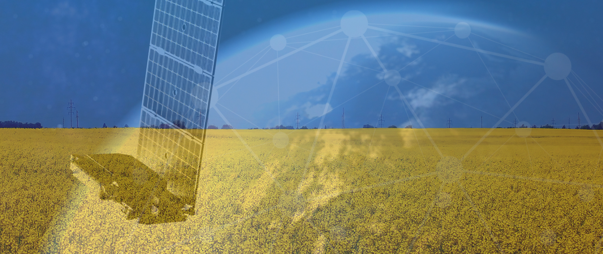 Zdjęcie pola porośniętego żółtymi roślinami, nad którym widoczne jest niebieskie niebo. Na zdjęcie nałożony półprzezroczysty obraz satelity Starlink orbitującego wokół Ziemi.