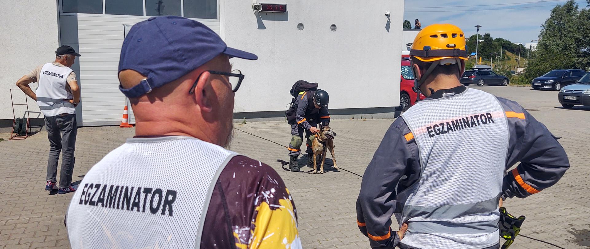 egzaminy psów ratowniczych 1