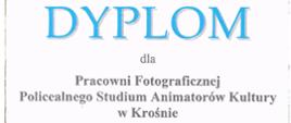 Na zdjęciu jest napis Dyplom dla Pracowni Fotograficznej Policealnego Studium animatorów Kultury w Krośnie