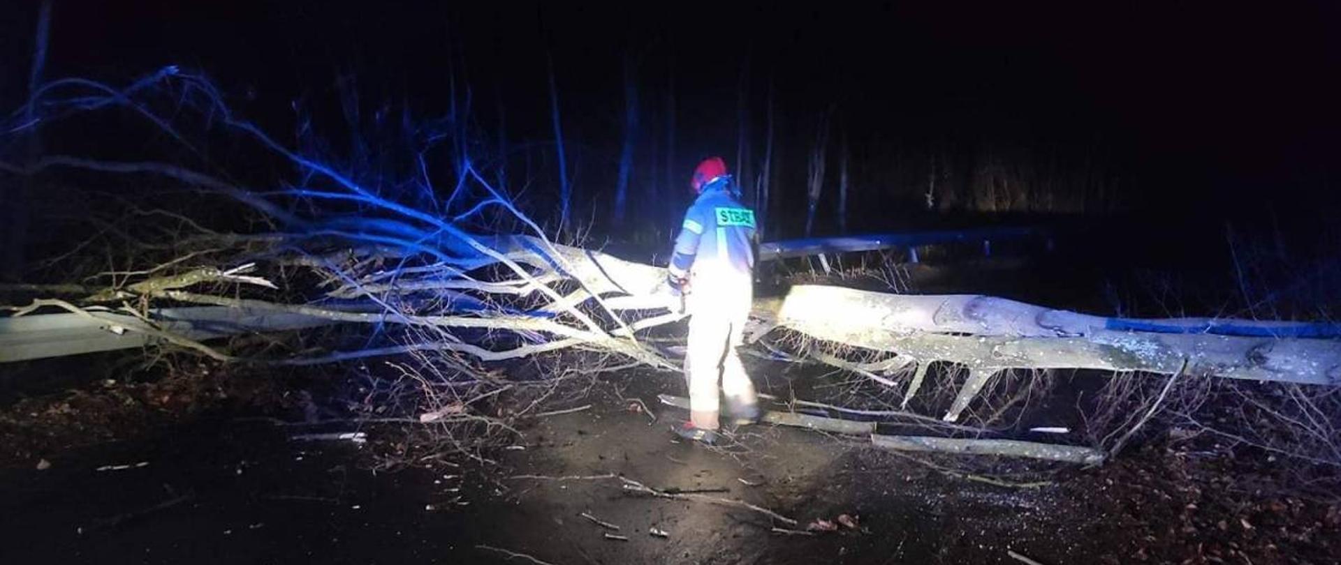 Strażak tnący powalone drzewo na jezdni