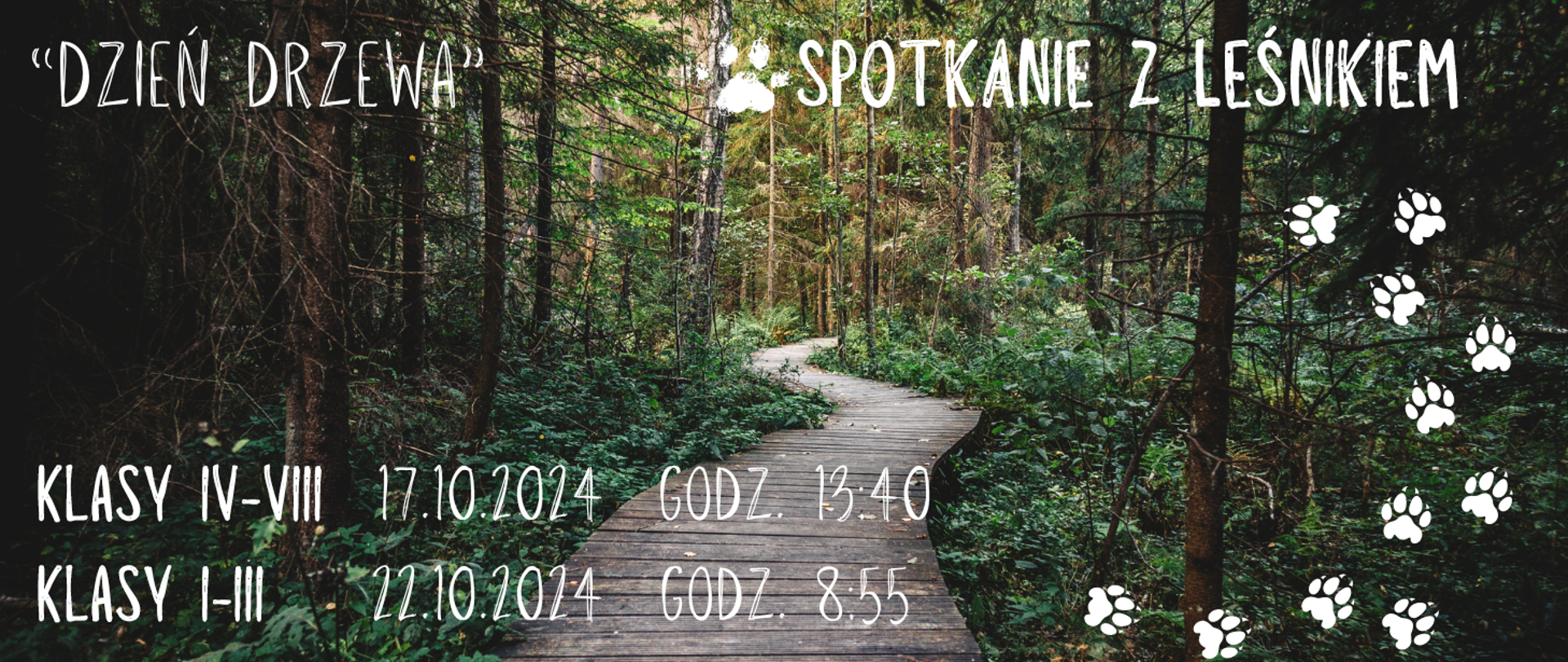 Na tle zdjęcia lasu z drewnianą dróżką informacja: Dzień drzewa - Spotkanie z leśnikiem: klasy IV-VIII 17.10.2024r. godz. 13.40 oraz klasy I-III 22.10.2024r. godz. 8.55