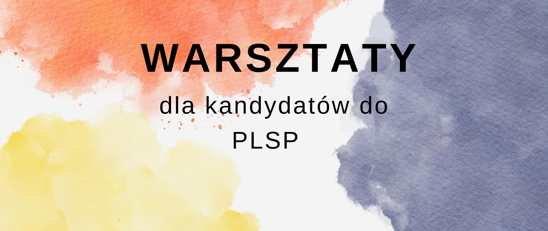 Warsztaty dla kandydatów do PLSP