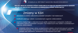Projekt zmian w KSH