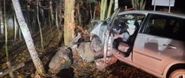 Po lewej widać dwa drzewa, po prawej szary samochód z uszkodzonym przodem i otwartymi drzwiami od kierowcy, pod lewym kołem dwa duże kamienie