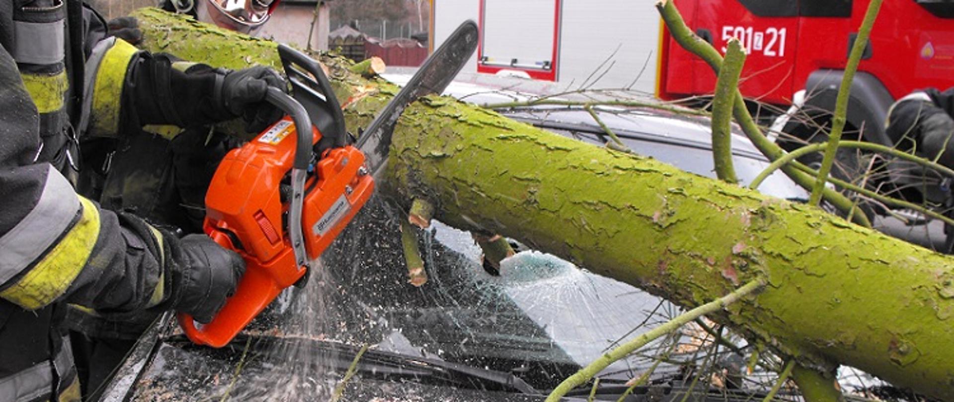 Zdjęcie przedstawia strażaka tnącego drzewo przewrócone na samochód osobowy