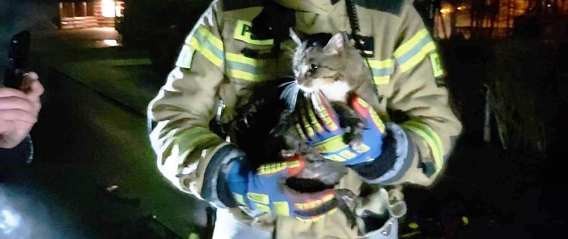 Strażak z kotem na rękach