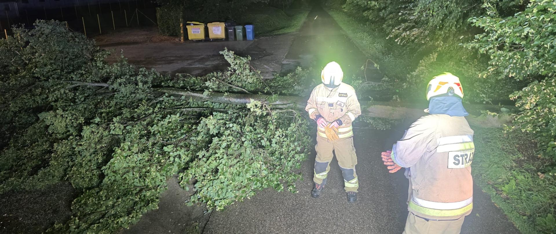 42 interwencje w ciągu jednej doby po przejściu porywistego wiatru