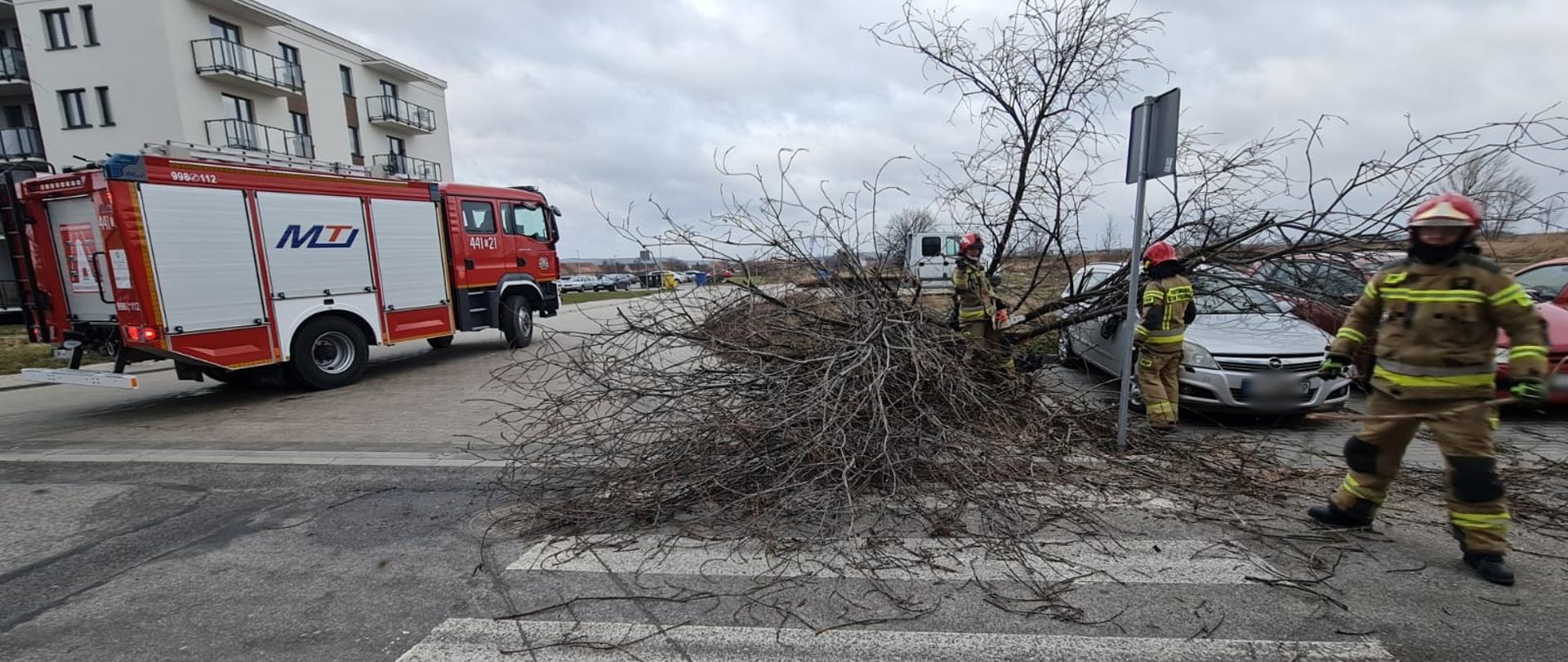 Obraz przedstawia strażaków usuwających powalone drzewo z jezdni. Strażacy w umundurowaniu specjalnym, w tle samochód pożarniczy i budynek mieszkalny. Pora dzienna.