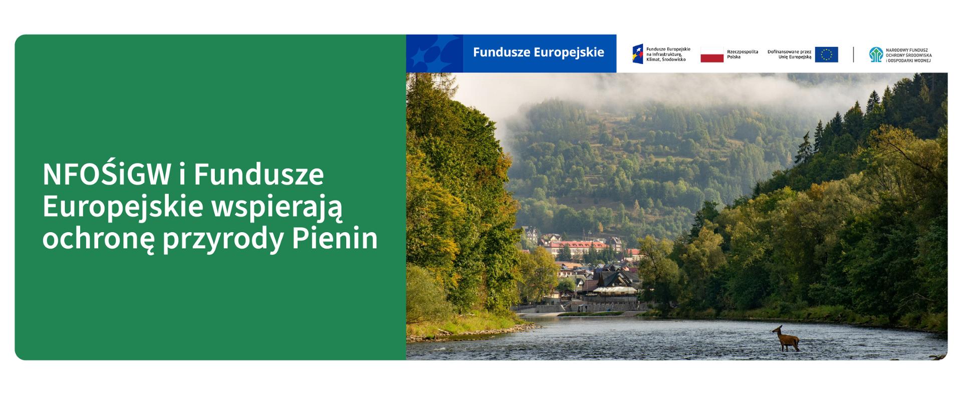 Grafika ilustracyjna. Fundusze Europejskie. Zdjęcie przyrodnicze. NFOŚiGW i Fundusze Europejskie wspierają ochronę przyrody i Pienin. W stopce grafiki ciąg logotypów: Fundusze Europejskie na Infrastrukturę, Klimat, Środowisko, flaga Rzeczypospolita Polska, flaga UE i Dofinansowane przez UE, NFOŚiGW.