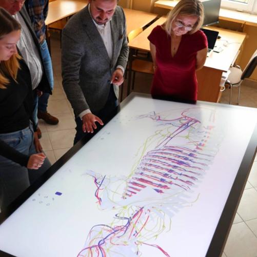 Grupa osób stojąca przed dużym ekranem, oglądająca wyświetlane treści.