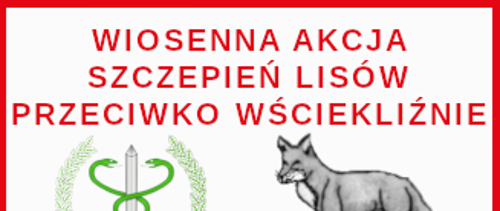 Szczepienie lisów