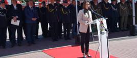 Na zdjęciu minister Anna Schmidt podczas przemówienia w tle zaproszeni goście