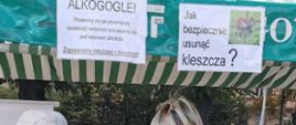 Organizatorka stoiska festynowego pokazuje mężczyźnie jak prawidłowo usunąć kleszcza
