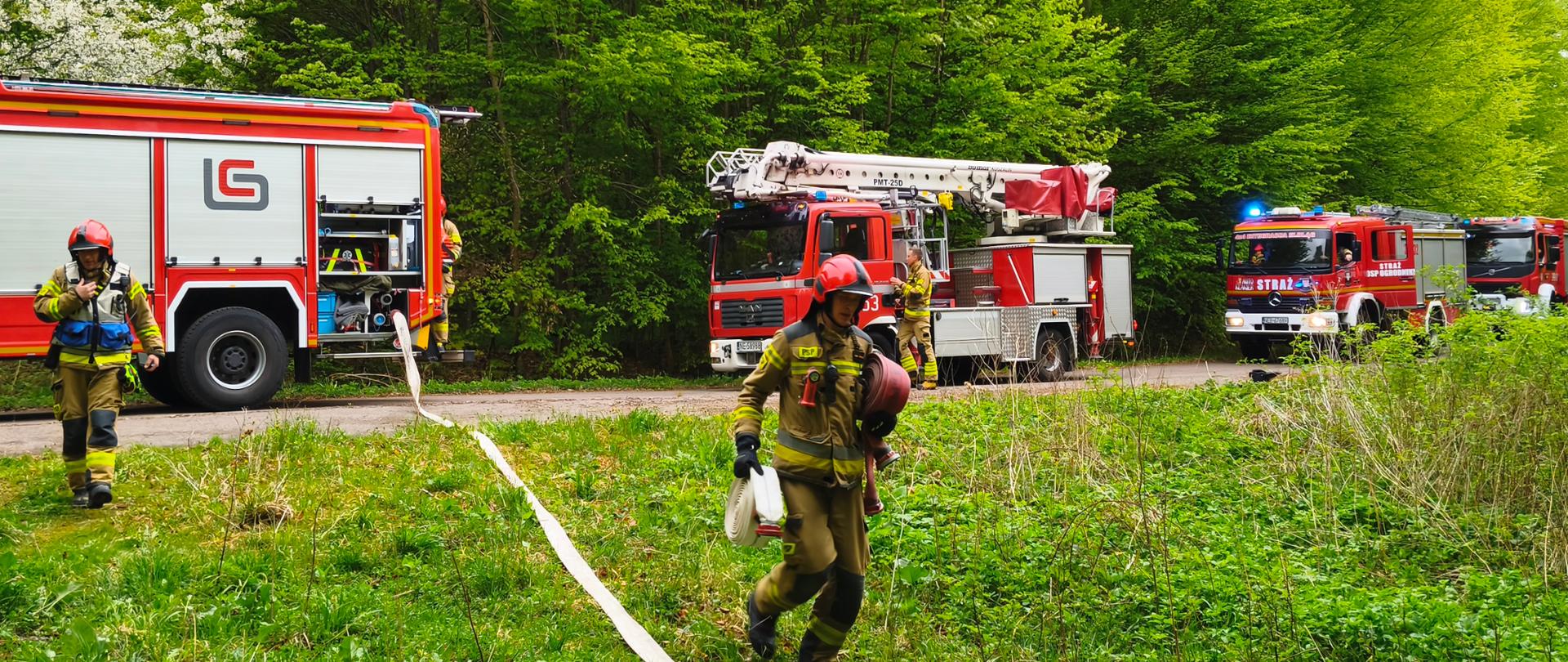 Na zdjęciu widoczna jest grupa strażaków prowadzących działania w pobliżu zalesionego terenu. Na utwardzonej drodze stoją trzy czerwone samochody pożarnicze, w tym jeden wyposażony w drabinę. Strażacy w pełnym umundurowaniu ochronnym przygotowują sprzęt i rozwijają linie gaśnicze. Jeden z nich przechodzi przez trawiasty teren, niosąc wyposażenie, podczas gdy inni obsługują węże i urządzenia przy pojazdach.