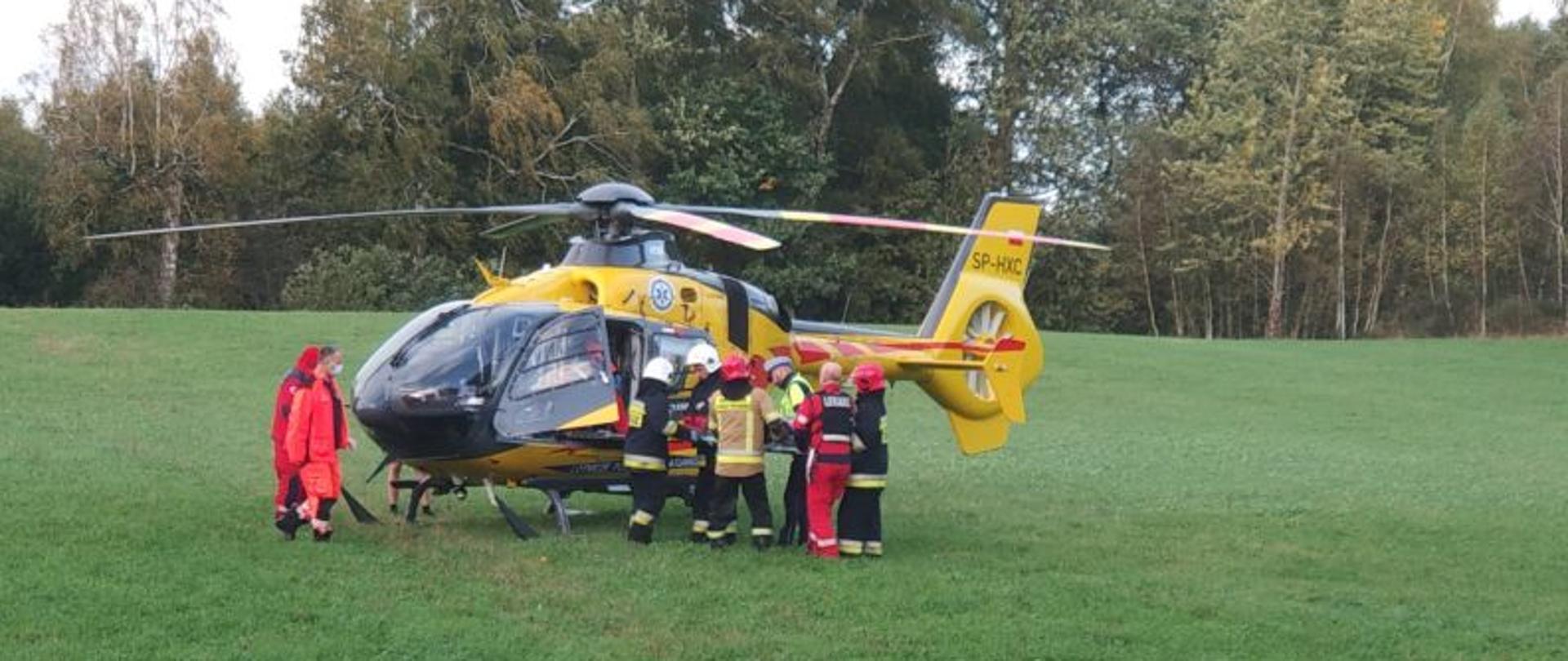 Na centralnej pozycji zdjęcia widoczny żółty helikopter ratowniczy. Helikopter wylądował na polu. Przy helikopterze strażacy, ratownicy medyczni i załoga maszyny. Wszyscy transportują osobę poszkodowaną do helikoptera