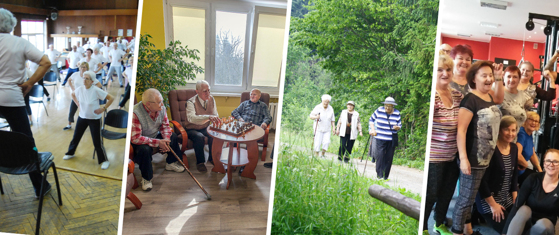 Kolaż ze zdjęć prezentujący różne rodzaje aktywności seniorów
